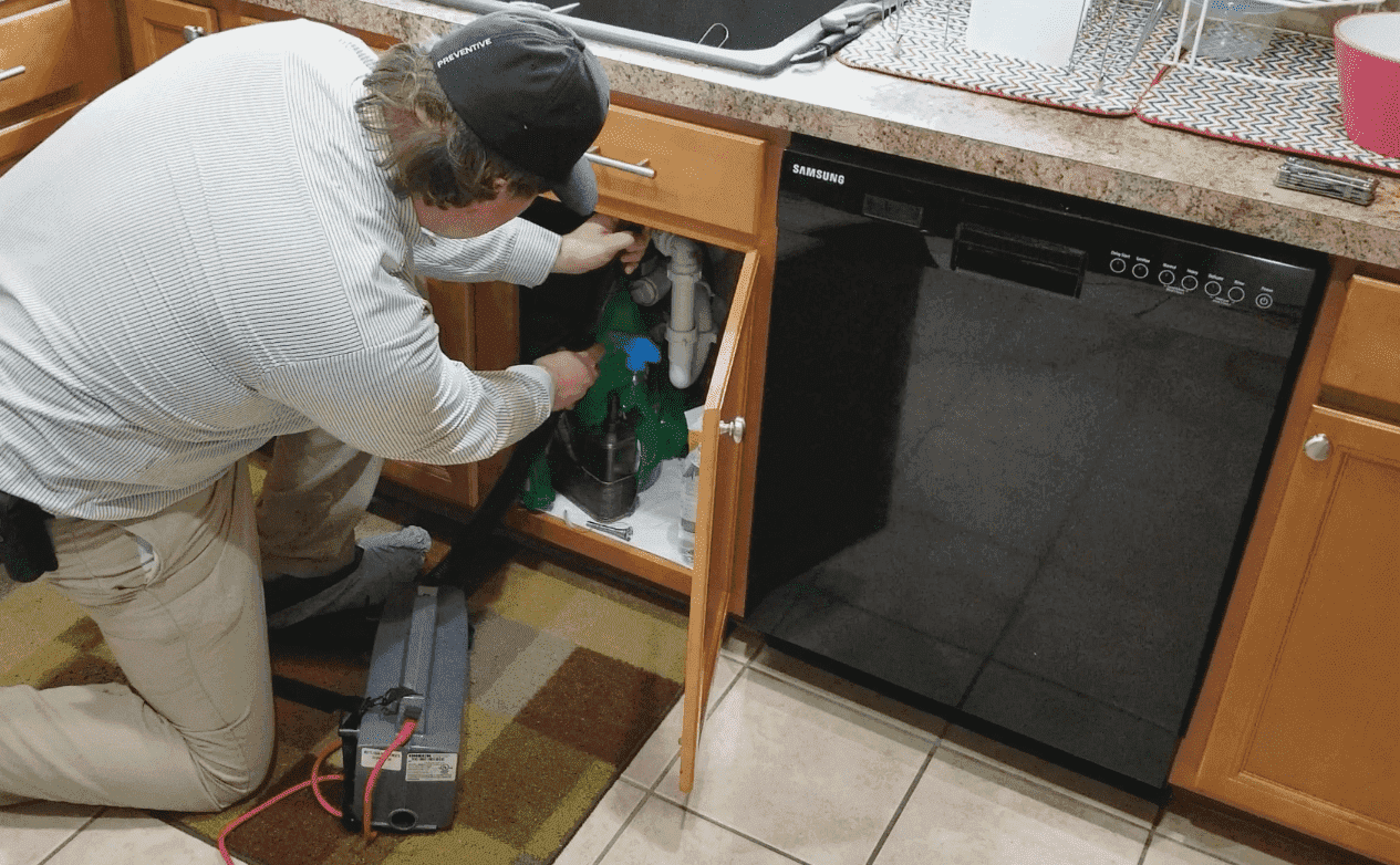 Inspecting for roaches
